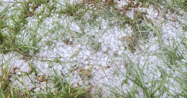 Mưa đá dội xuống Tu Mơ Rông, nông dân thiệt hại, chính quyền khẩn trương hỗ trợ