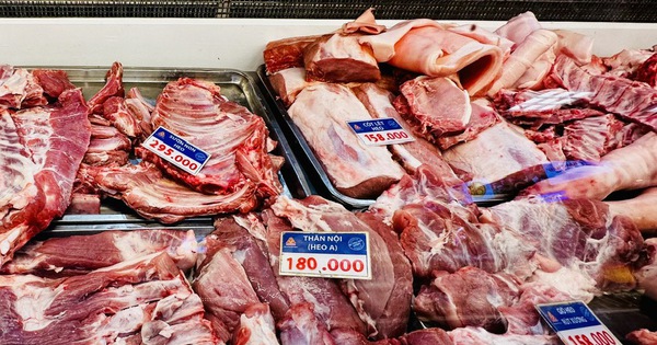 Giá heo hơi hôm nay 18.4.2026: Thị trường đang ấm lên