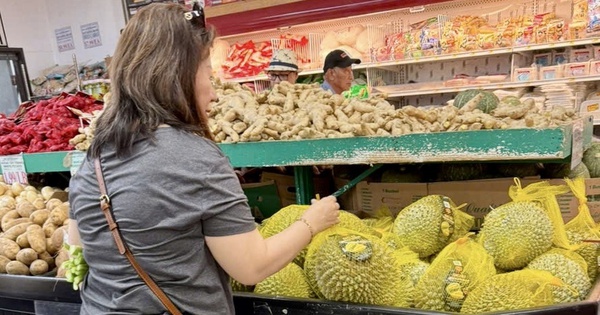 Xuất khẩu rau quả vào Mỹ giảm tốc vì căng thẳng Trung Đông