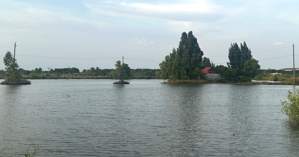 'Treo' 8 năm, ngân hàng đất 26,6 tỉ ở Cà Mau vẫn chỉ là đầm nước