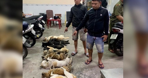 Bắt 2 nghi phạm trộm chó mang súng tự chế và kích điện