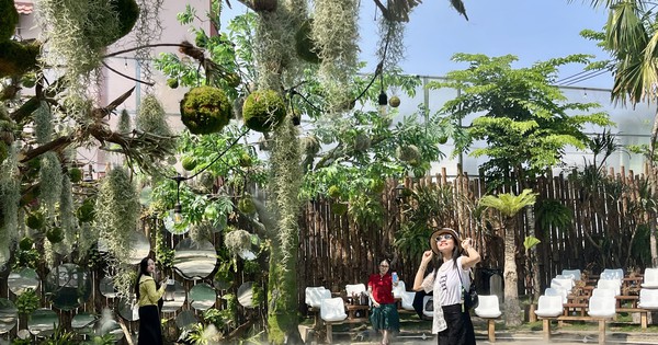 Ốc đảo xanh giữa lòng đô thị: Điểm đến lý tưởng cho giới trẻ trốn nắng và sống ảo