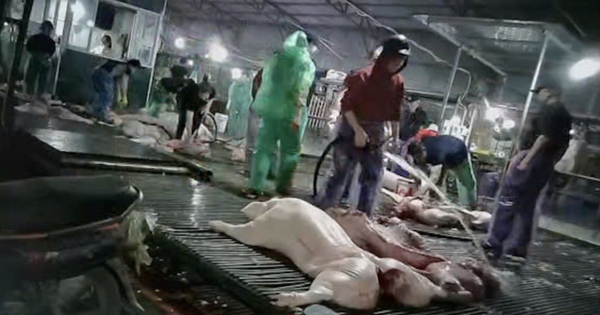 Hà Nội siết chặt kiểm soát chất lượng bữa ăn bán trú