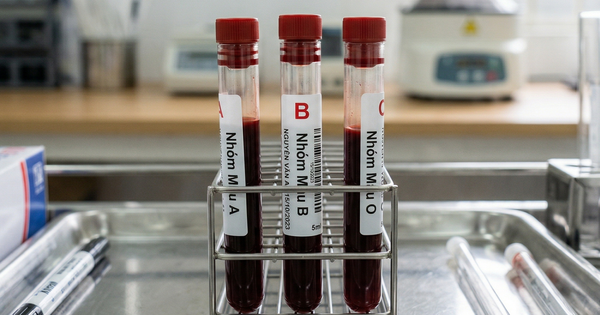 Người nhóm máu nào cần cảnh giác với bệnh tiểu đường hơn?