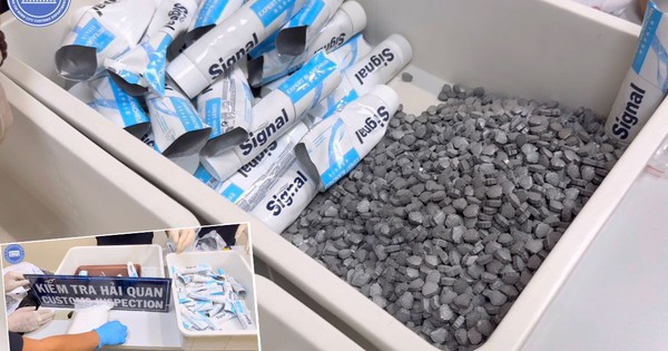 Chuyên án bí số VN10: Truy nã người thuê tiếp viên hàng không xách ma túy