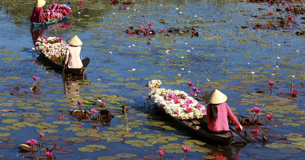 Ninh Bình có khách sạn quốc tế đầu tiên