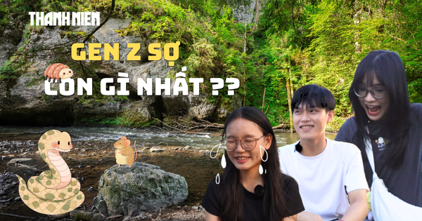Bí mật Gen Z: Gen Z sợ nhất con gì?
