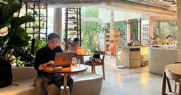 Chỉ với vài trăm ngàn, startup có ngay địa chỉ ‘vàng’ nhưng coi chừng... trắng tay?