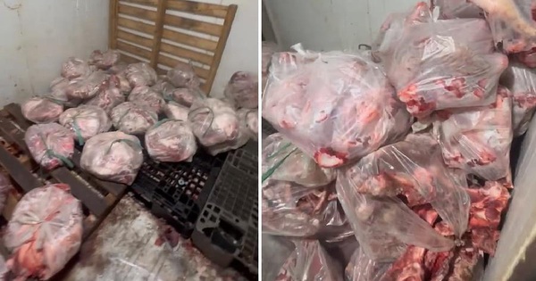 Phát hiện hơn nửa tấn thịt heo bốc mùi ở lò mổ trái phép