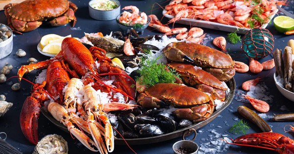 Bảo Nguyên Food: Nhà cung cấp hải sản Đà Nẵng chuyên nghiệp