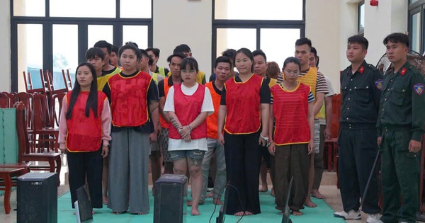 'Bẫy tiêm chủng' lừa đảo 5.000 người xuyên quốc gia hoạt động như thế nào?