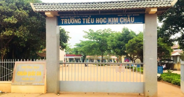 Cách chức nữ hiệu trưởng chỉ đạo giả mạo chữ ký để hợp thức hóa hồ sơ