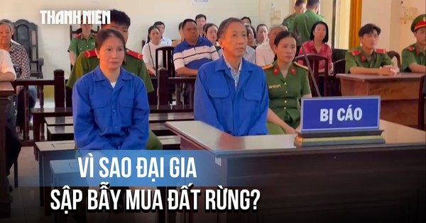 Các đại gia sập bẫy lừa mua đất rừng của cựu Trưởng công an Phú Quốc như thế nào?