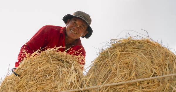 Nhộn nhịp chợ rơm cuộn Ba Lai: Nụ cười xua tan cái mệt dưới nắng hè