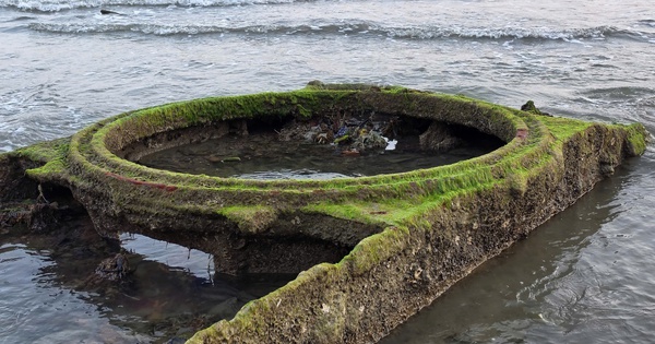퀴논 해변에서 탱크 시체가 갑자기 나타났다 사라졌다