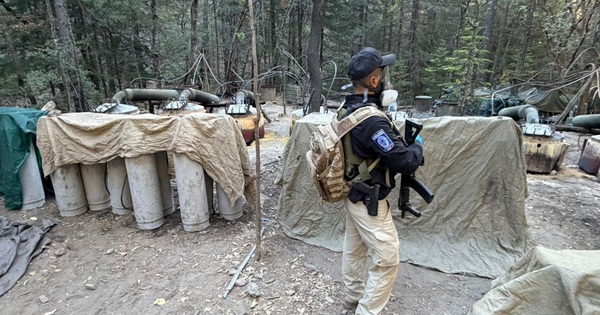 Báo Mỹ: 2 đặc vụ CIA thiệt mạng trong chiến dịch chống ma túy ở Mexico