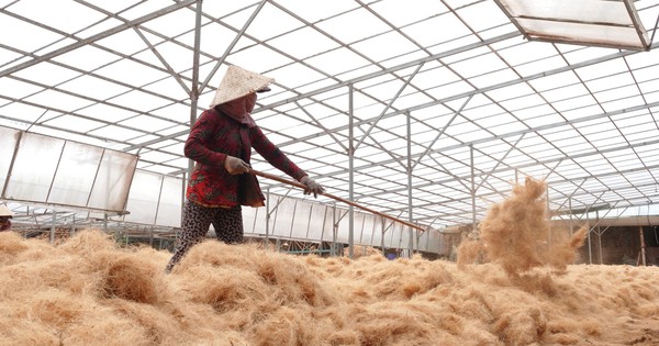 Nghề dệt chỉ xơ dừa 'giữ chân' phụ nữ miền Tây thế nào?