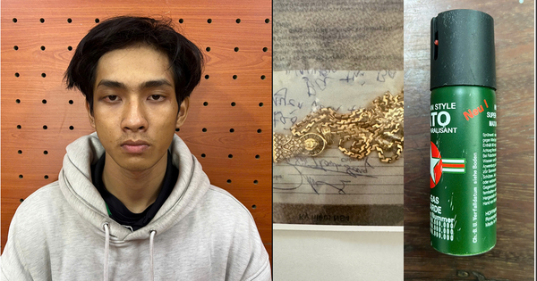 Cướp dây chuyền rồi xịt hơi cay vào mặt nạn nhân để tẩu thoát