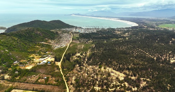 Gia Lai chuyển đổi 55 ha rừng để làm dự án hạ tầng