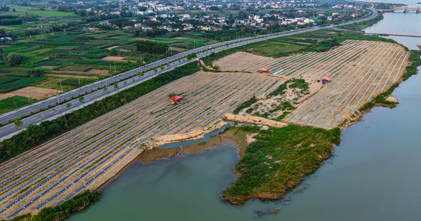 Mưu sinh trên sông Trà: Đời nông dân 'du mục'