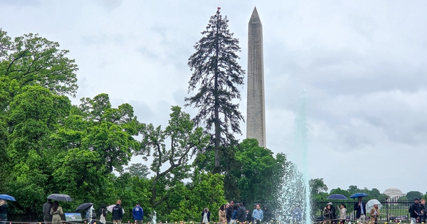 Nước Mỹ giữa chia rẽ: Tổng thống Trump có sắp suy giảm quyền lực?