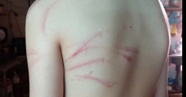 Đình chỉ cơ sở dạy thêm sau phản ánh giáo viên đánh học sinh lớp 7