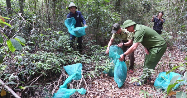 Vườn quốc gia Kon Ka Kinh: Nơi phục hồi sự sống cho động vật hoang dã