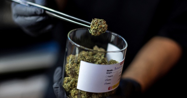 Sri Lanka bắt 22 nhà sư vận chuyển 110 kg cần sa trong hành lý