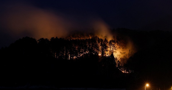 Nhật điều 1.500 lính cứu hỏa, quân nhân chữa cháy rừng đang lan rộng