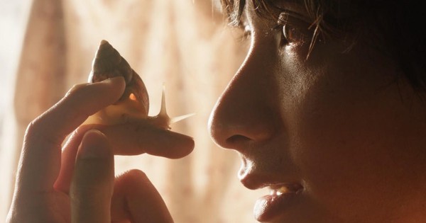 'Giấc mơ là ốc sên' tranh giải Cành cọ vàng cho phim ngắn tại LHP Cannes