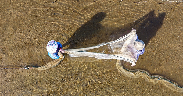 Mưu sinh trên sông Trà: Nương phù sa mà sống, theo con nước mà đi