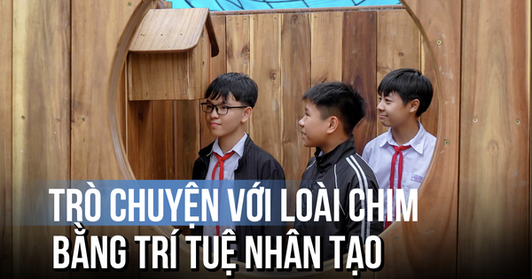 Thú vị 'trạm nghe chim kể chuyện': Trò chuyện với loài chim bằng AI