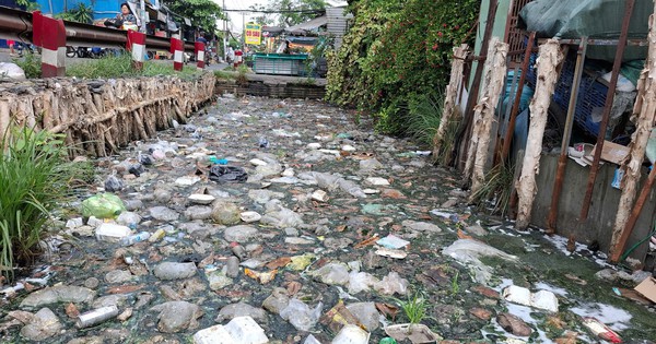 Những dòng kênh chứa đầy cỏ, rác