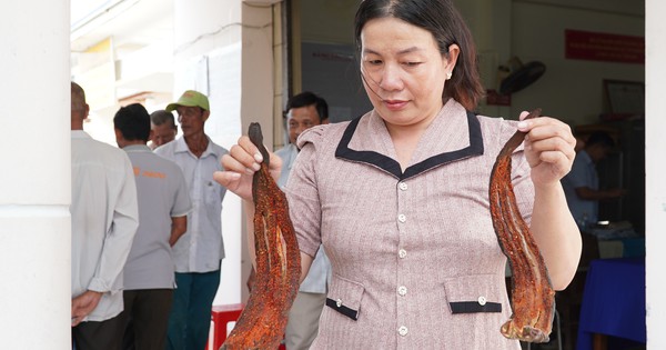 Người dân Cà Mau mang cá chết đến cuộc họp đòi bồi thường dự án sân bay