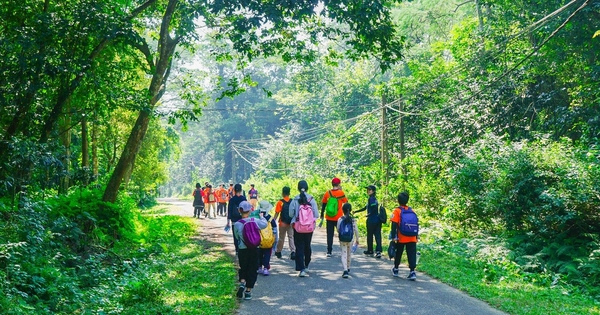 Cúc Phương điều chỉnh giờ đón khách, khuyến khích đặt vé trực tuyến dịp lễ