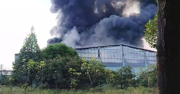 Cháy nhà xưởng hàng nghìn mét vuông ở TP.HCM