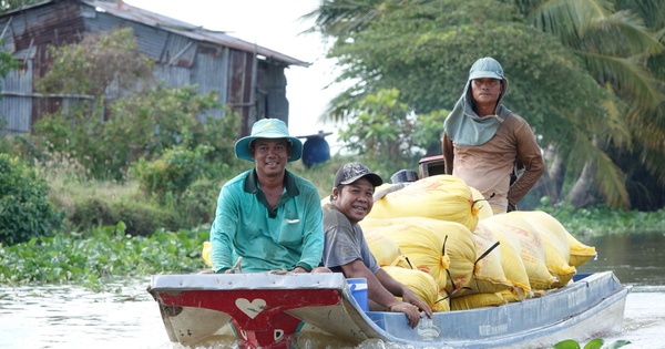 Gạo Việt Nam đang 'hot' trở lại, vì sao?