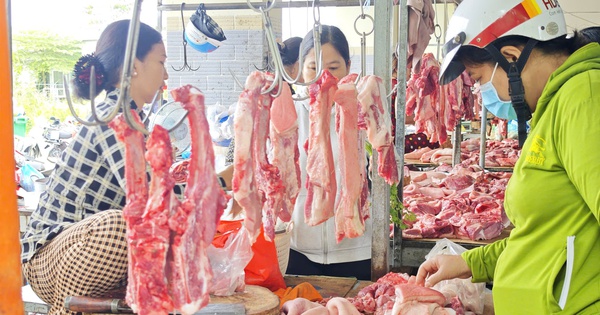 Giá heo hơi hôm nay 3.4.2026: Phục hồi ở miền Bắc