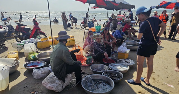 Chợ hải sản tự phát tại biển Long Cung: Phường Rạch Dừa kiên quyết xử lý