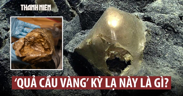 Hé mở bí ẩn ‘trứng vàng’ dưới đáy đại dương