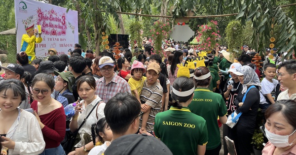Xem hươu cao cổ 'làm đám cưới': Đông kín người tại Thảo Cầm Viên Sài Gòn