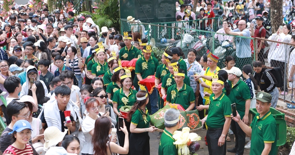 Đám cưới độc lạ của hươu cao cổ ở Thảo Cầm Viên Sài Gòn thu hút hàng nghìn người