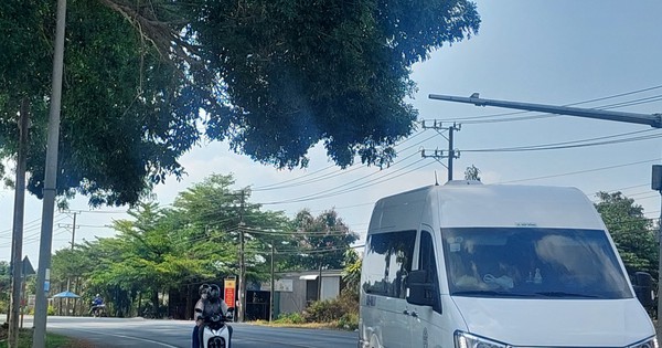 Tán cây che tầm nhìn