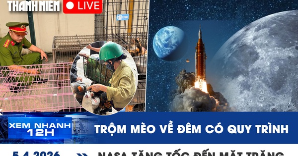 Xem nhanh 12h: Hẹn nhau trộm mèo về đêm, đưa đến lò mổ | NASA tăng tốc đến mặt trăng