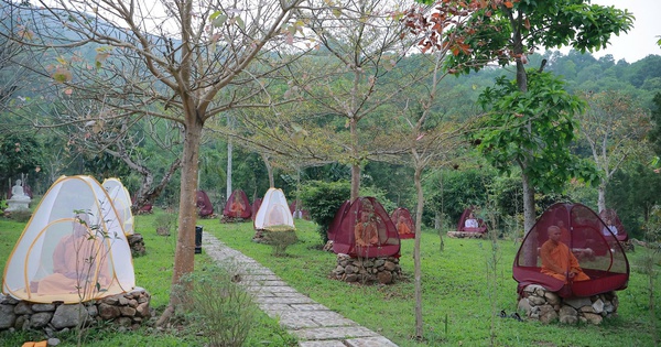 Ngôi tịnh xá dưới chân núi Ngàn Nưa: Hành trình hồi sinh từ phế tích