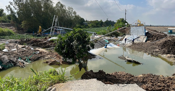 Đồng Tháp: Sạt lở ao cá tra, thiệt hại hơn 7,5 tỉ đồng