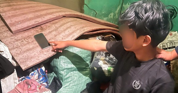 Ba thiếu niên cùng 15 tuổi dùng xà beng phá khóa cửa hàng, trộm 5 iPhone