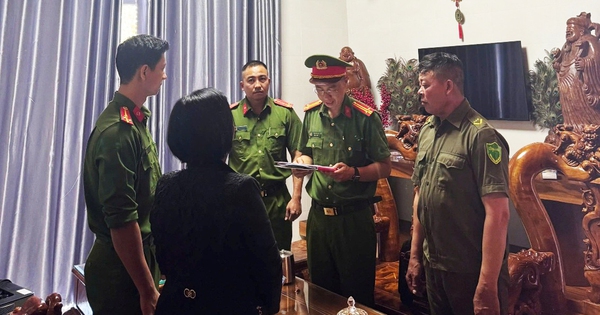 Khởi tố chủ hộ kinh doanh trốn thuế, gây thất thu 2,1 tỉ đồng