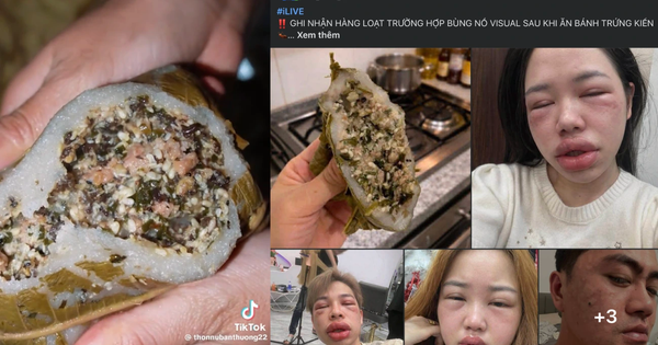 Bánh trứng kiến đang 'hot' mạng: Có người phải nhập viện vì dị ứng, ai cần tránh?