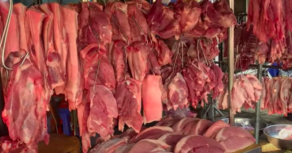 Giá heo hơi hôm nay 6.4.2026: Tăng nhẹ vài nơi 